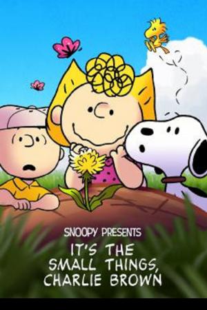 Snoopy Presents It’s the Small Things Charlie Brown (2022)