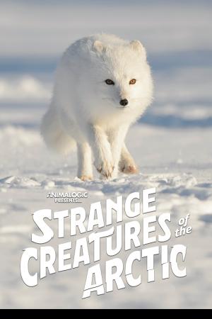 Strange Creatures of the Arctic (2022)